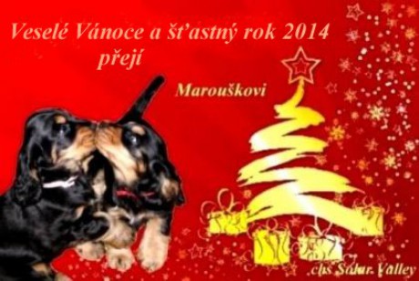 přání_Vánoce_2014